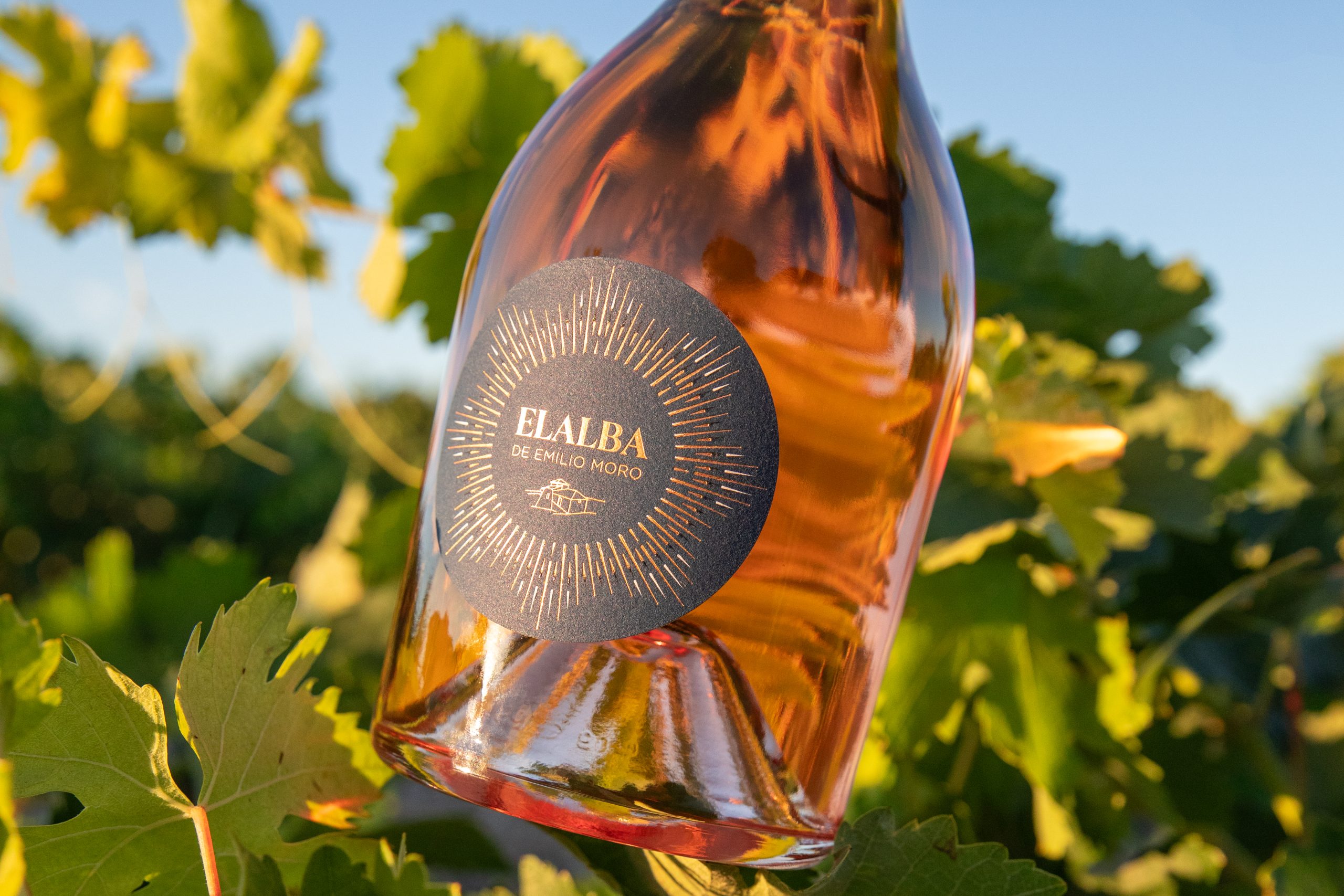 ElALBA, The First Rosé From Bodegas Emilio Moro To Feel The First Light Of Dawn And To Welcome New Beginnings