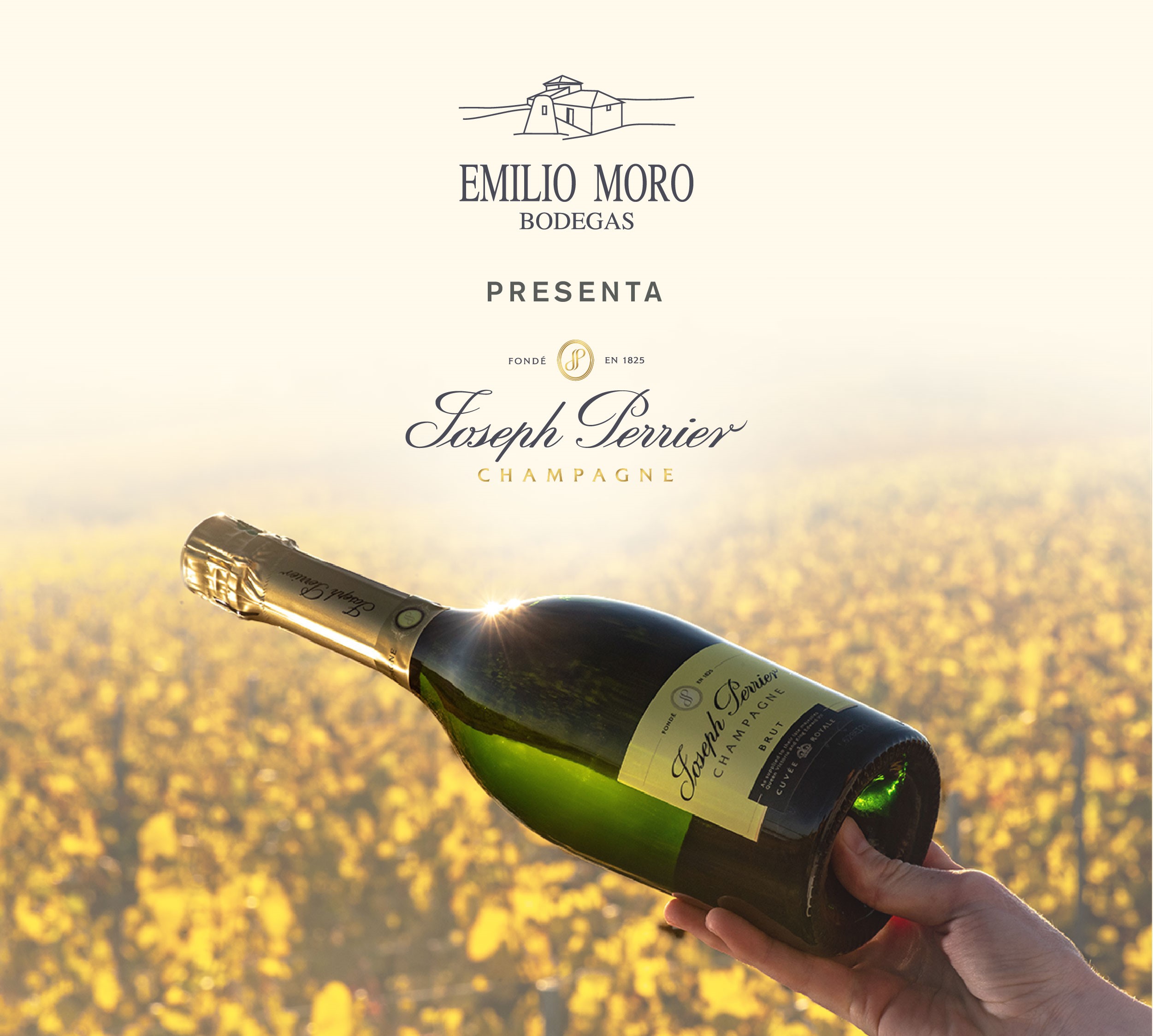 Wine and champagne come together in a partnership between Emilio Moro ...